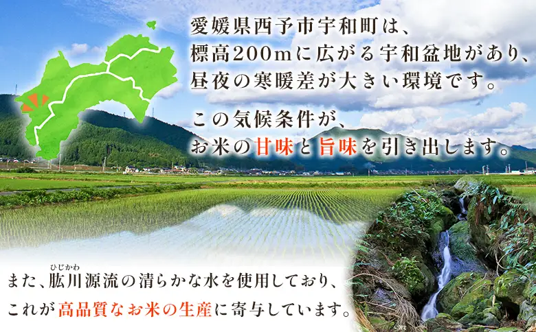 ＜令和7年産 愛媛県西予市産 コシヒカリ 田んぼダム米 最短10営業日以内に順次発送予定 10キロ こしひかり 西予応援米 宇和米 お米 コメ こめ 白米 精米 米 国産 愛媛県産 宇和町産 和みファーム 愛媛県 西予市【常温】 UWN0002