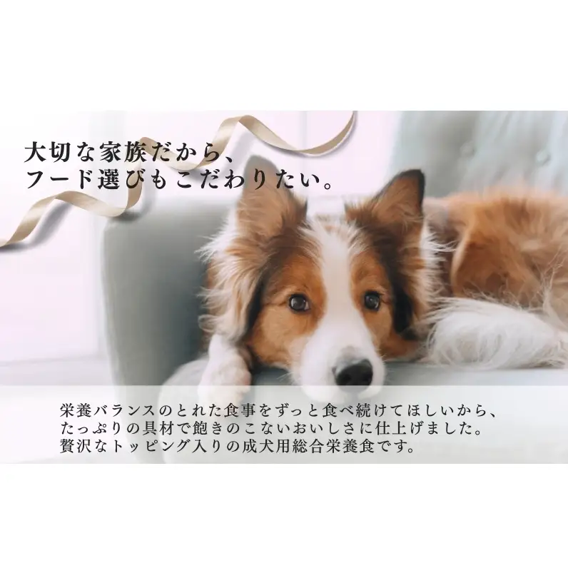 コンボ ドッグ Ｗお肉入り 1.7kg ｘ8(ケース単位) ドッグフード