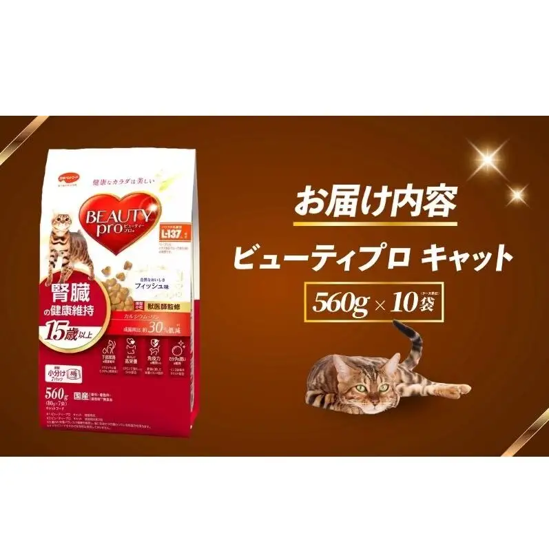 ビューティープロ キャット 腎臓の健康維持 15歳以上 560g ｘ10(ケース単位) キャットフード