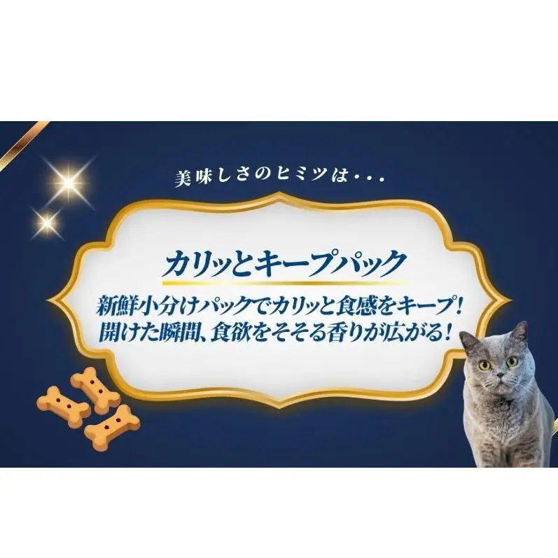 コンボ キャット かつお節入りアソート 600g ｘ12(ケース単位) キャットフード