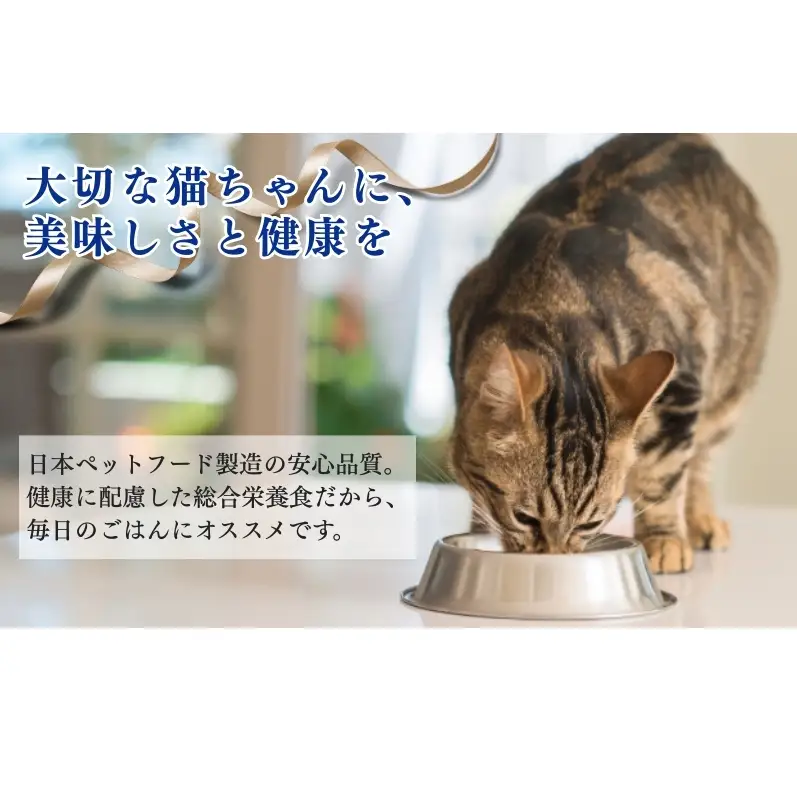 コンボ キャット かつお味・鮭チップ・かつお節添え 700g ｘ12(ケース単位) キャットフード