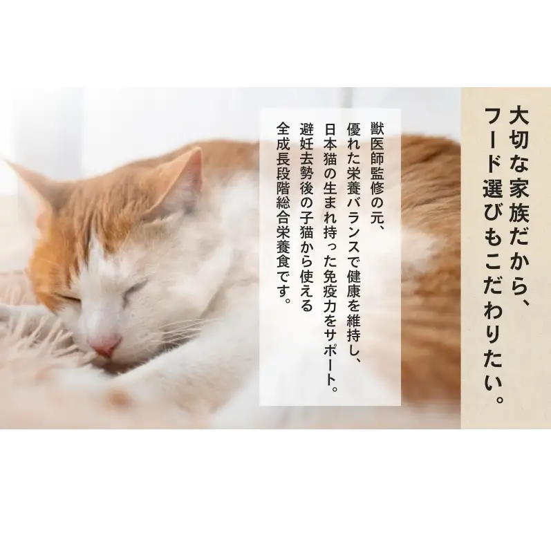 キャットフード ラシーネ 日本猫 避妊 去勢後用 キャットフード