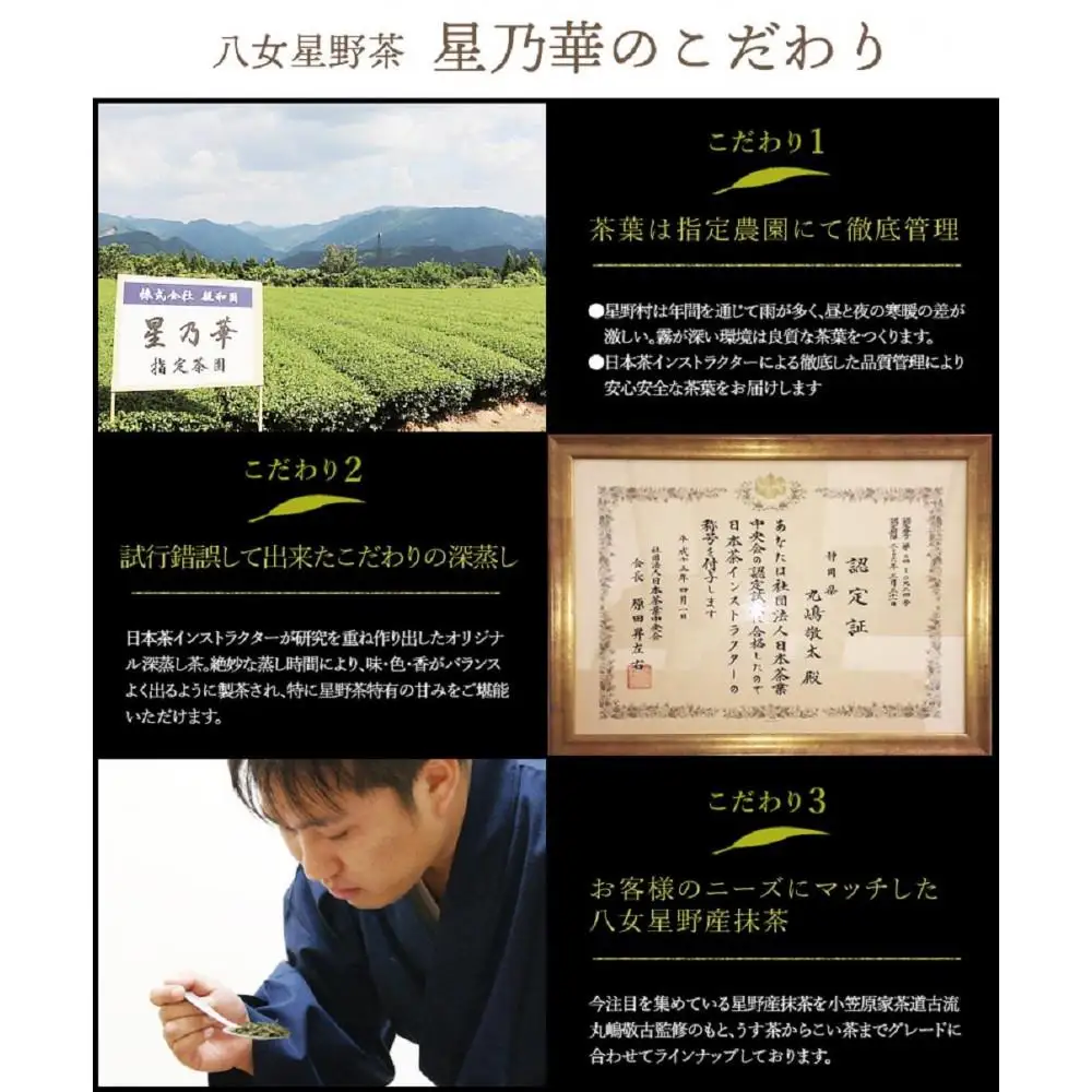 【全3回毎月定期便】八女星野産 玉露ティーバッグ2.5g×100個【八女茶】