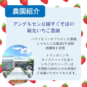 摘みたて氷いちご 2kg 冷凍いちご いちご イチゴ 苺