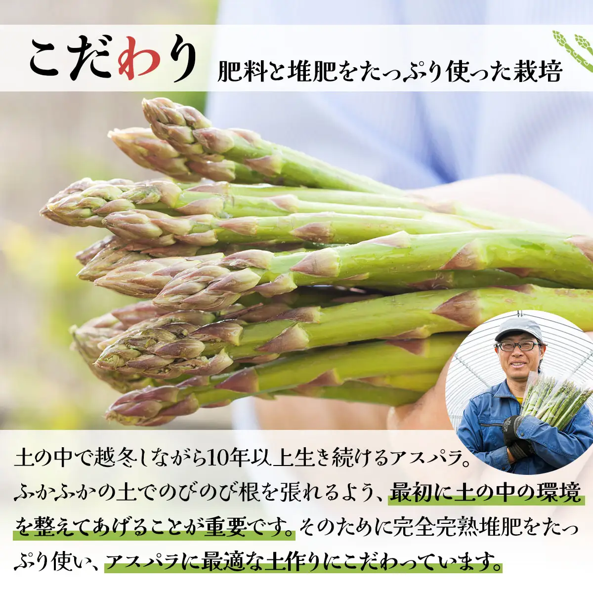 ＜先行予約＞あまーい！北海道産夏アスパラ(A品) 1kg【ffk-003】