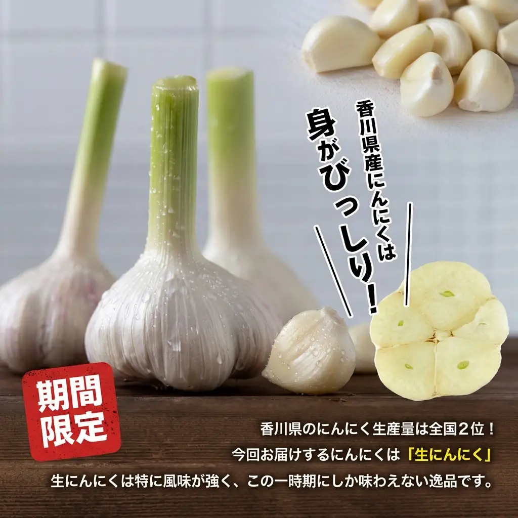 にんにく 生 香味野菜 五色青果 にんにく【2kg バラ詰め】 【46311893】