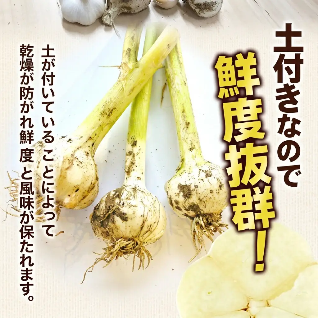 にんにく 生 土付き 香川県産 にんにく【5kg バラ詰め】 【46311892】
