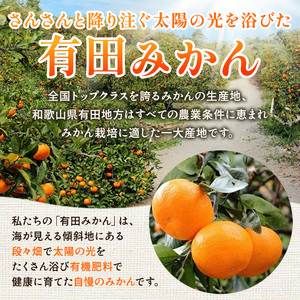 〈定期便〉【10・11・12月 全3回】極プレミアム 有田みかん定期便 10kg+250g （傷み補償分） ※北海道・沖縄・離島への配送不可