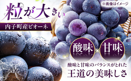 【先行予約】シャインマスカット・ピオーネのセット 約1kg BKAY012 ぶどう