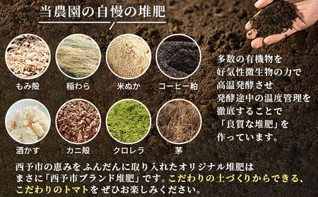 ＜孫トマト（桃太郎トマト）約2kg＞ トマト とまと 2キロ 孫トマト 大玉 愛媛県産 西予市産 食品 桃太郎トマト 桃太郎 野菜 やさい サラダ 産地直送 国産 城川 吉岡農園 愛媛県 西予市【常温】『2026年8月～11月中旬迄に順次出荷予定』SYN0001