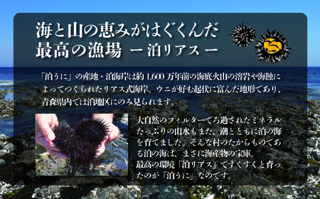 青森県六ヶ所村産　泊うに（甘塩うに）　60g