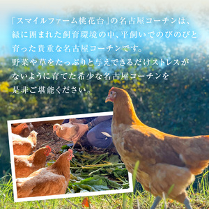 『スマイルファーム桃花台』名古屋コーチン肉 １羽分セット [154T04]
