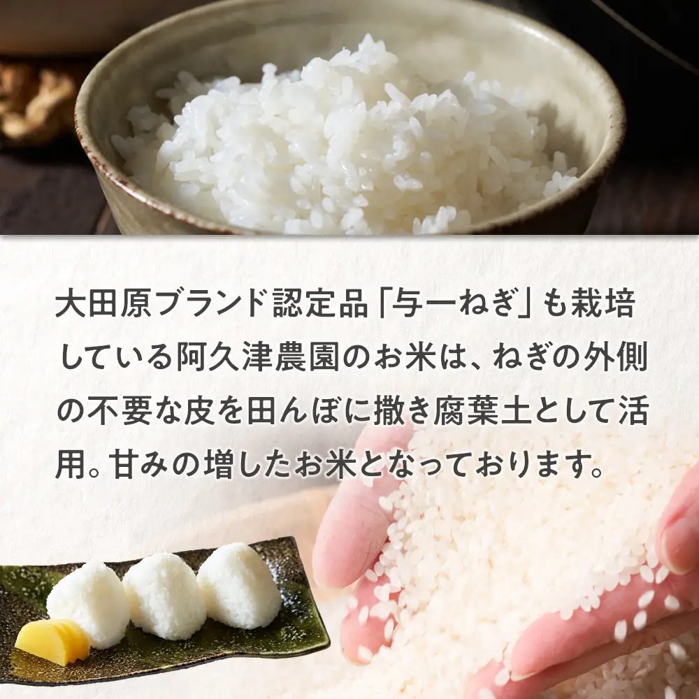 【令和7年産 】栃木県 大田原市産 とちぎの星 白米 5kg ｜コメ お米 銘柄米 農家直送 産地直送 産直 数量限定