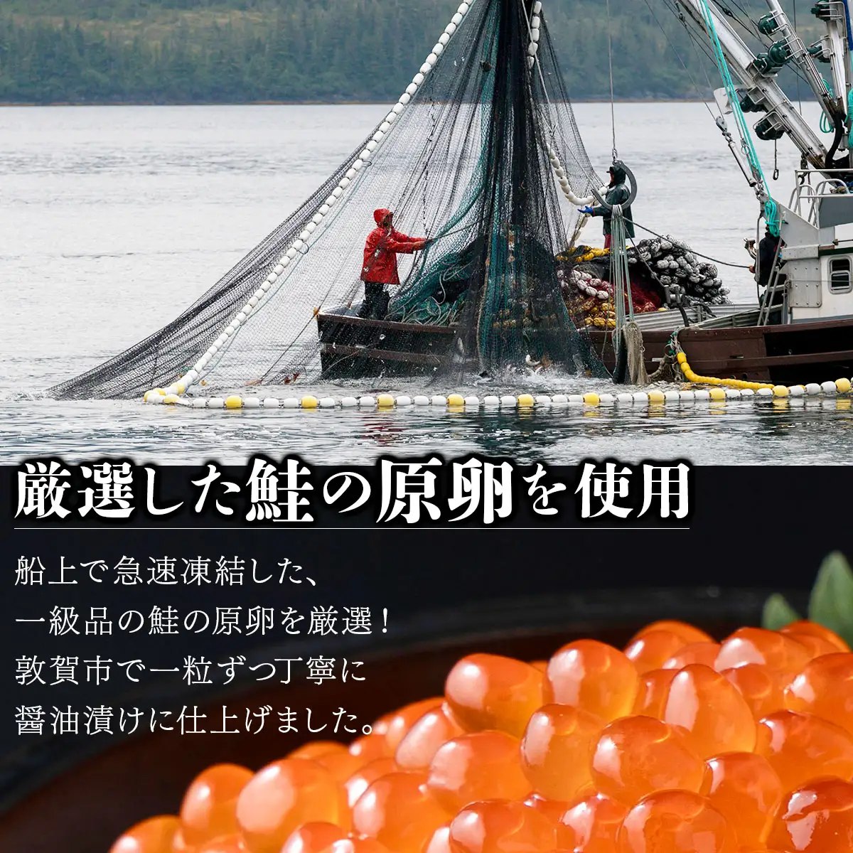 鮭いくら 醤油漬け 250g [024-a155_(20)] いくら