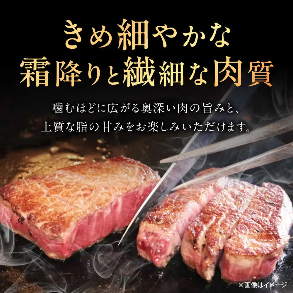 【12回定期便】佐賀牛 サーロインステーキ 300g /MKミート武雄[UEM019] ステーキ定期