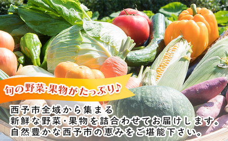 ＜西予市 旬の野菜・果物詰合せセット 月1回3か月（計3回配送）＞ 詰め合わせ つめあわせ セット 旬 青果 フルーツ くだもの やさい 果物セット 野菜セット 季節 産地直送 定期便 せいよ旬の野菜・果物詰合わせセット どんぶり館 食べて応援 特産品 愛媛県 西予市【冷蔵】『お申込み月の翌月より配送を開始』UDB0004