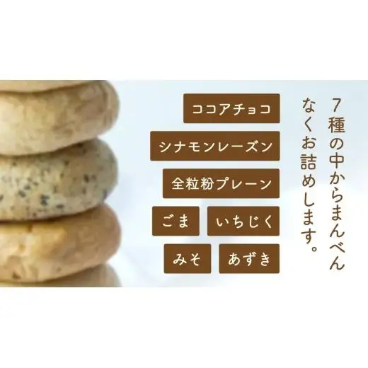 【 訳あり 】 おまかせ ベーグル 14個セット