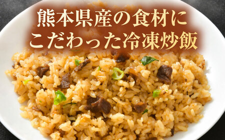 【全6回定期便】熊本県産 こだわり炒飯 大人の黒毛和牛 炒飯 230g×20袋 合計4.6kg 冷凍食品 炒飯 [BHCS022]