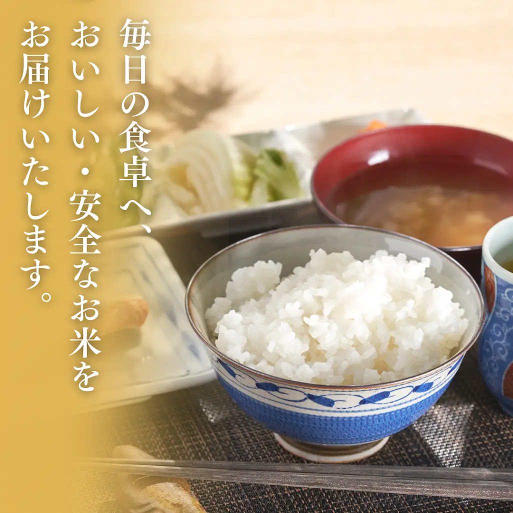 【新米】【先行予約】 新潟産コシヒカリ 「出雲崎の輝き」 5㎏ (9月下旬より順次発送予定 ) 令和8年産 | コシヒカリ 新潟県 出雲崎町