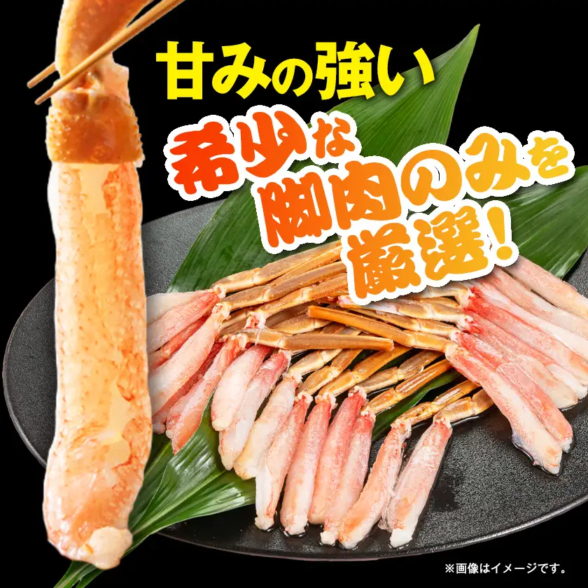 生本ズワイガニ脚肉むき身500g【配送不可地域：離島】【1607604】