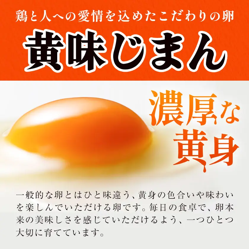 【5ヶ月定期便】たまご 黄味じまん Lサイズ 30個 計150個 君嶋養鶏園