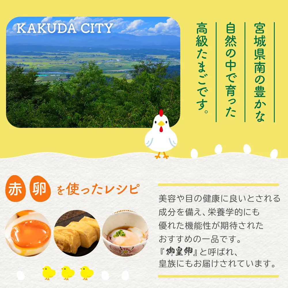 おおえだファーム アスタキサンチン卵（赤）Lサイズ 60個入り 卵