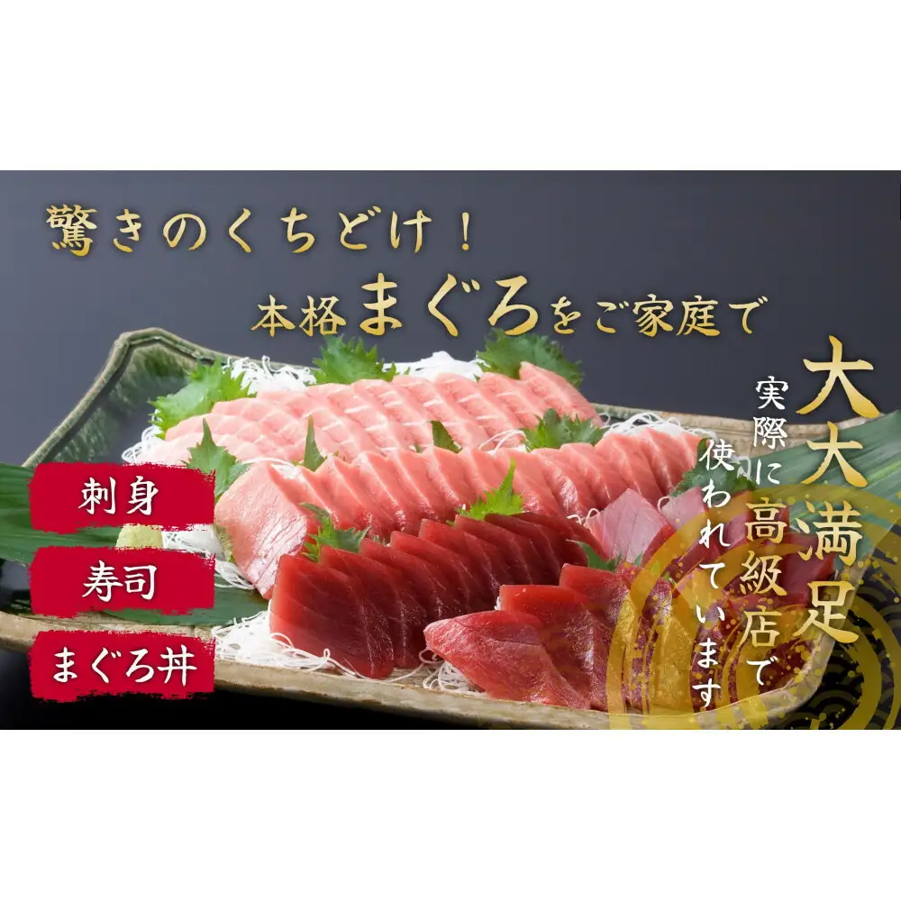 マグロづくし セット フィシュル ! 赤身 5枚 中トロ 3枚 大トロ 2枚 各50g×3P 詰め合わせ 刺身 お刺身 海鮮 魚 魚介 海の幸 おつくり 本マグロ 鮪 海鮮セット 海鮮丼 国産 九州 博多 福岡市
