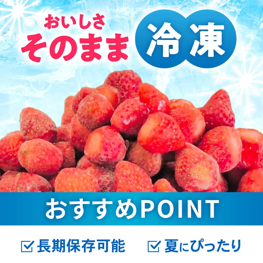 【完熟の恵み、ぎゅっと冷凍！】冷凍いちご「ゆめのか」 M-Lサイズ 1.5kg(500g×3) / いちご イチゴ 苺 冷凍 冷凍いちご 冷凍フルーツ イチゴジャム / 諫早市 / むらたサービス [AHFA001]