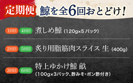 【6回定期便】調理用部位定期便（煮しめ鯨・炙り用脂筋肉スライス・特上ゆかけ鯨（畝））[OBR019]