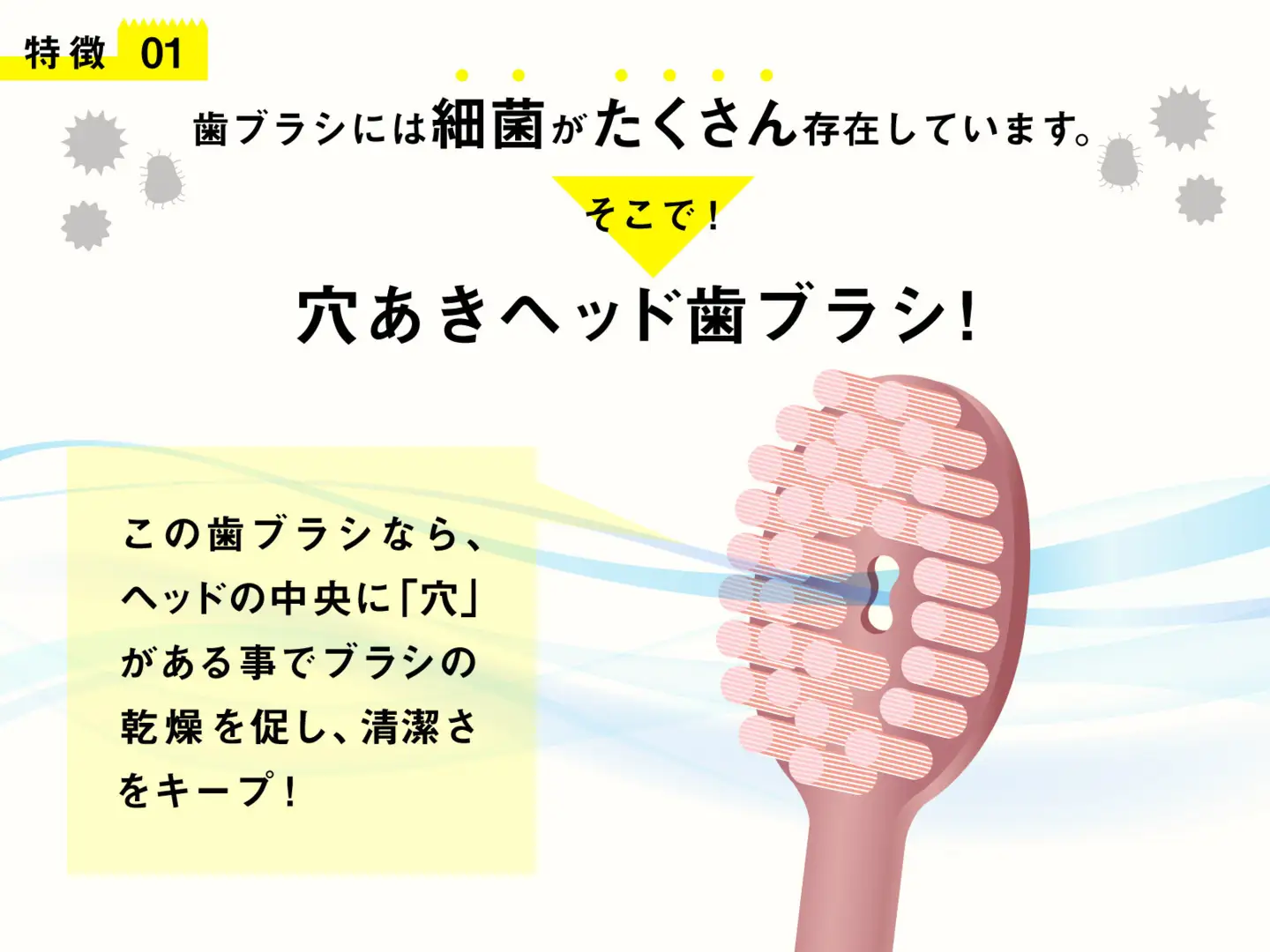 奥歯のウラまでしっかり磨ける 穴の開いた 歯ブラシ 合計12本 （1箱4本入(4色)×3箱 ）