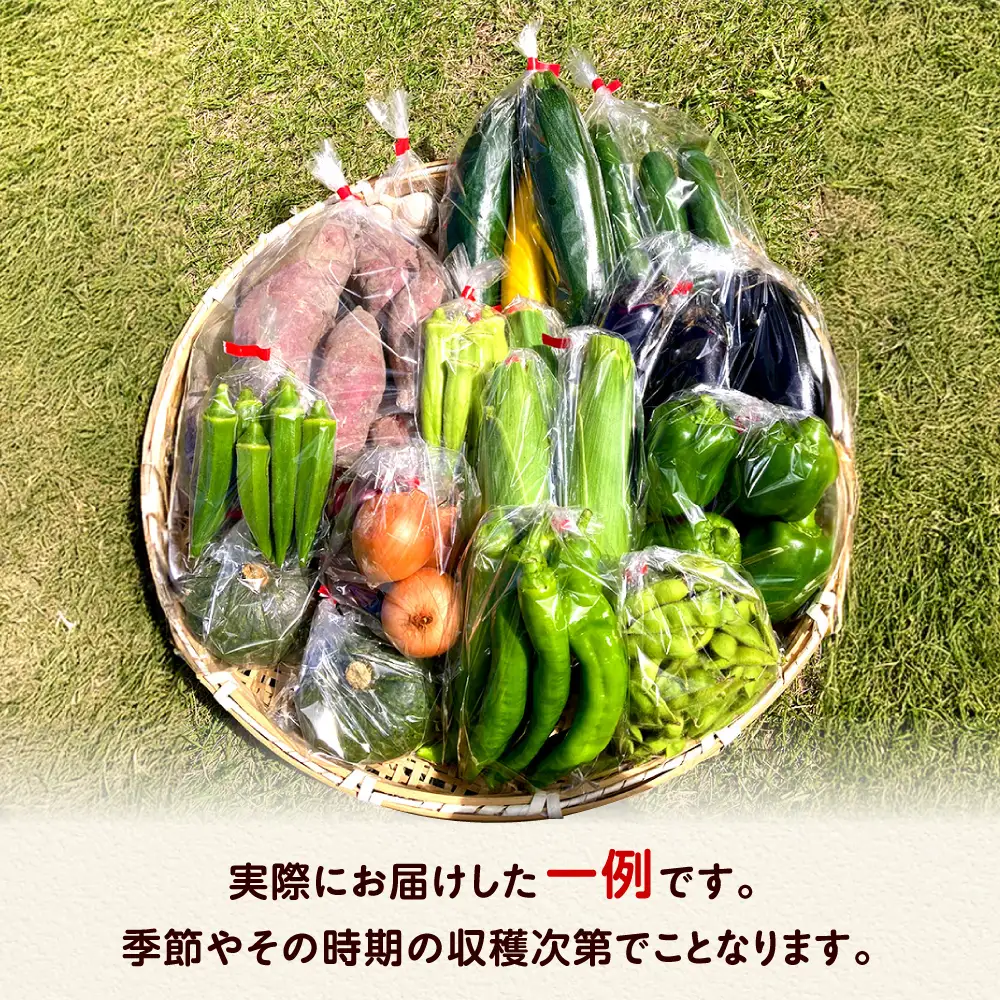 【全3回定期便】 米ぬかで育てた！旬のお野菜＆平飼い卵セット ベジ彩ファーム[AOEJ005] 野菜