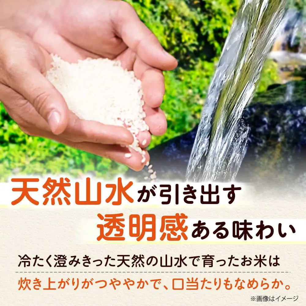 【全3回定期便】お米 10キロ 10kg 大阪府高槻市/ベジ彩ファーム[AOEJ011] お米