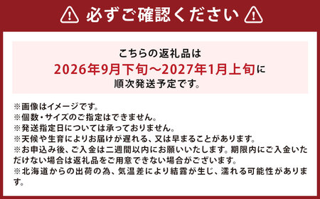 【訳あり】北海道産 じゃがいも キタアカリ M～2Lサイズ混載 約5kg 1箱 山田農場 ジャガイモ 芋 いも イモ 訳アリ わけあり ワケアリ 国産 【2026年9月下旬-2027年1月上旬迄発送予定】