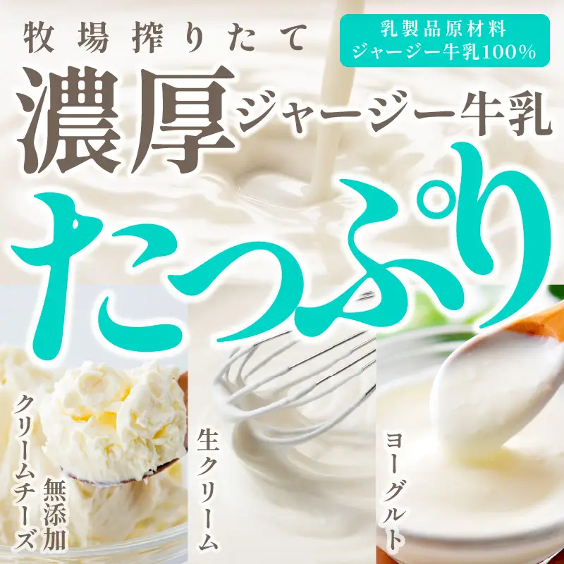 レアチーズケーキ 1個｜ケーキ