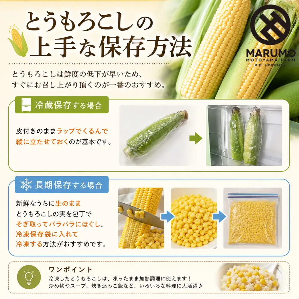 【令和8年産予約受付】とうもろこし ドルチェドリーム 10本 MARUMOスイートコーン 本山農場
