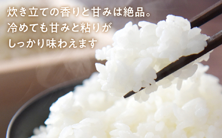 《令和8年産 新米》 こしひかり 5kg お米 11月発送