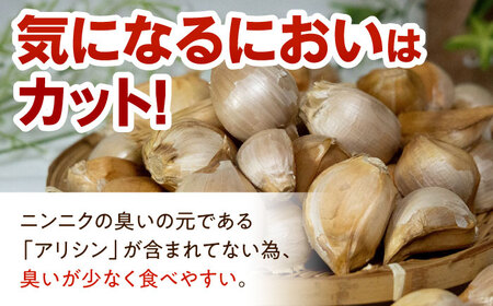佐々町産ジャンボニンニク1kg[QAT021]