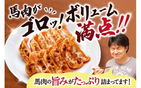 熊本 馬刺し 専門店のさくら馬肉 餃子 80個 国産 冷凍
