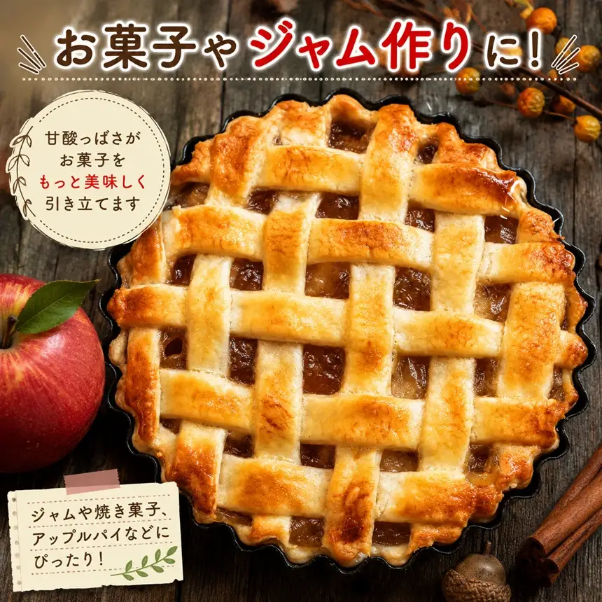 訳あり品 長野県産 サンふじ 約10kg ＜2027年1月上旬～2月上旬発送＞ | 長野県 飯田市