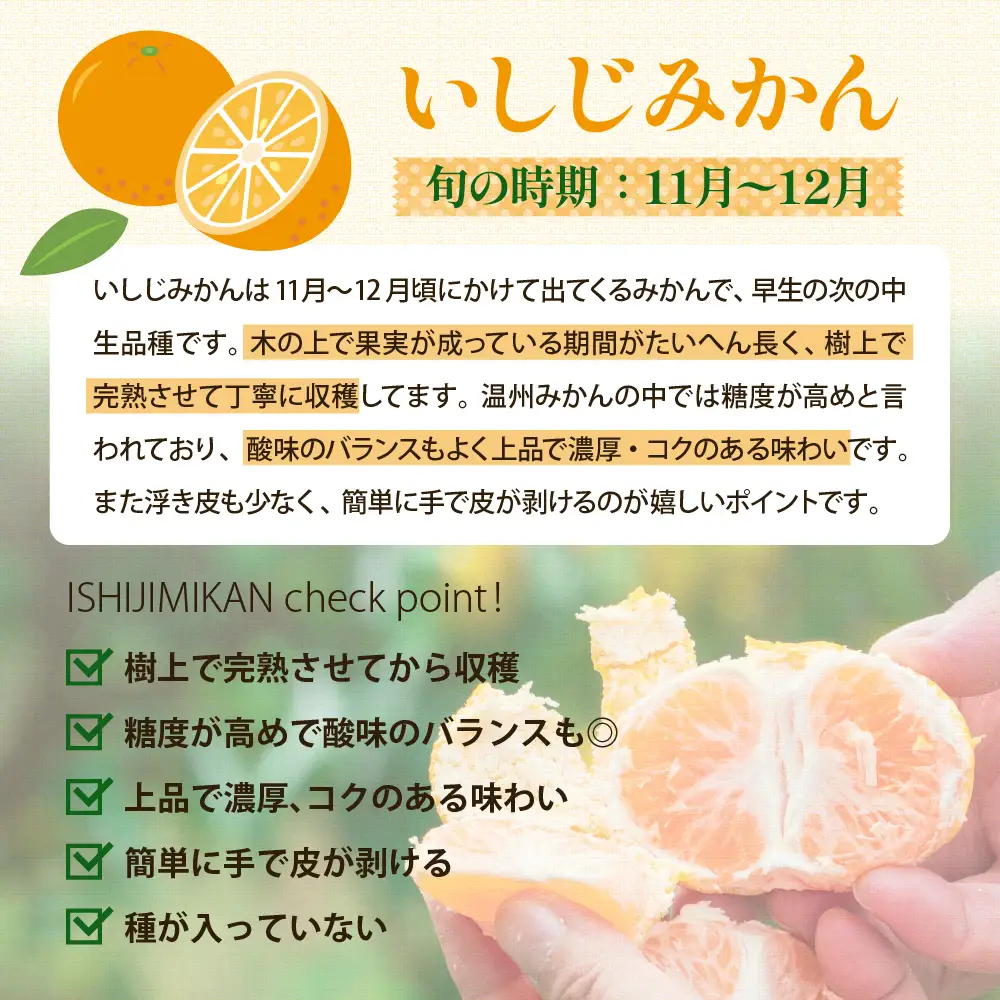 【先行受付】【2026年12月～発送】倉橋ミカン食べてクレ園 いしじみかん 約5kg ku154-001-26