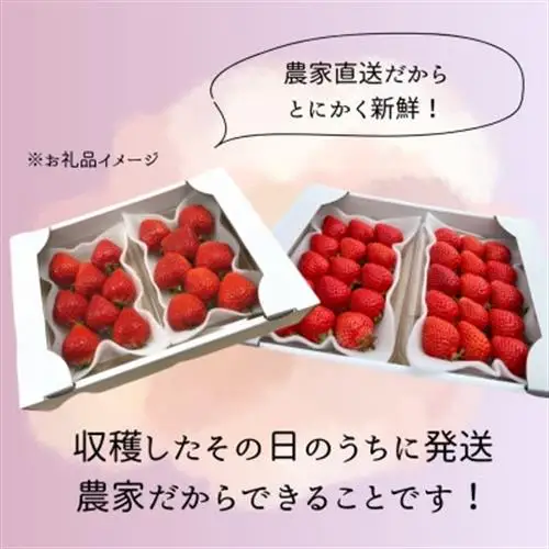 【先行予約】福岡県産あまおう 約250g×4パック《2027年2月以降順次発送》【配送不可地域：離島】【1177858】