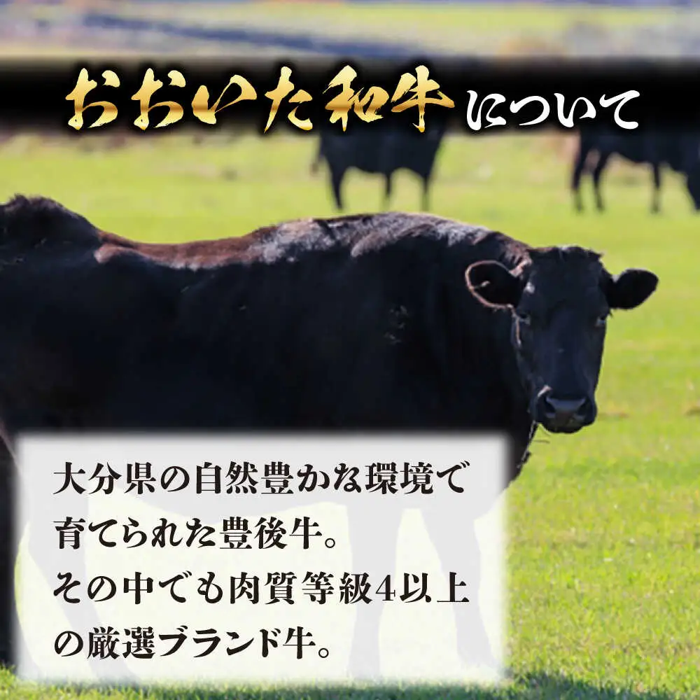 厳選 おおいた和牛100% 生ハンバーグ 160g×5個 日田市 おおいた和牛 牛肉 ハンバーグ [ARFE003]