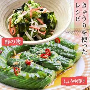 きゅうり 2kg 【R01451】