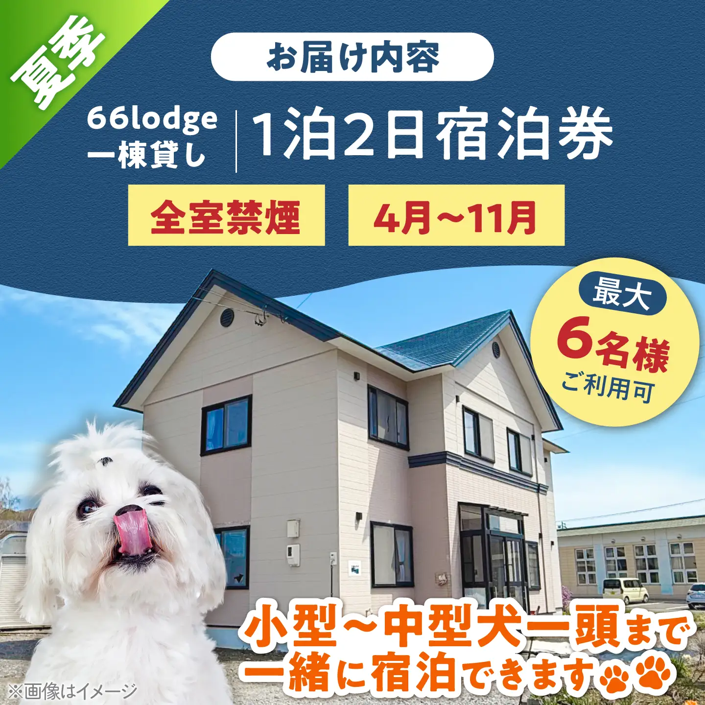 【夏季プラン】66lodge 宿泊券 一棟貸し 1泊2日 [AJAU001] 宿泊 北海道