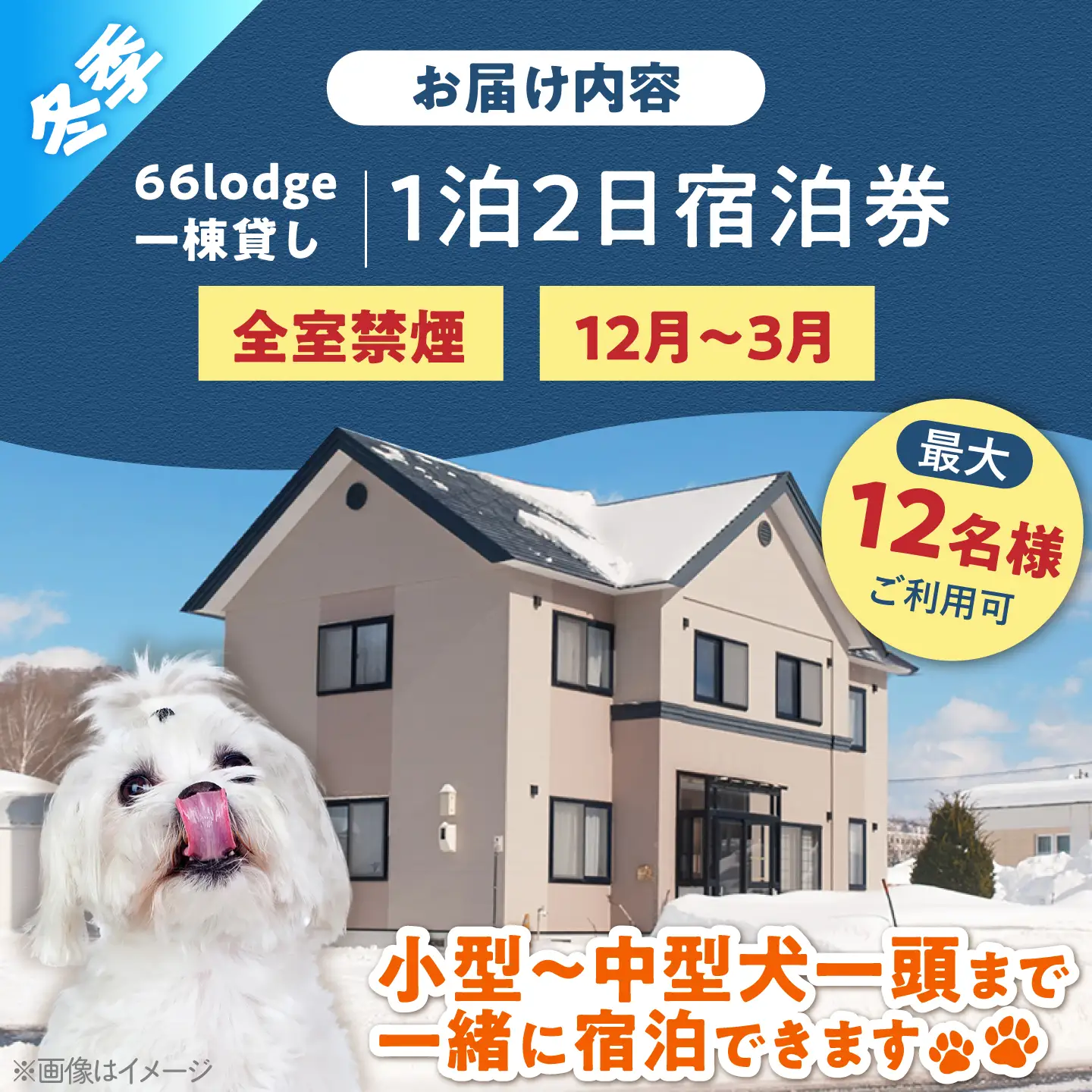 【冬季プラン】66lodge 宿泊券 一棟貸し 1泊2日 [AJAU002] 宿泊 北海道