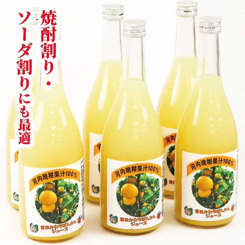 河内晩柑 ストレートジュース 720ml × 6本 陽だまりミカン みかんジュース みかん 蜜柑 mikan フルーツ ジュース 果汁 100% 焼酎割り ソーダ割り 家呑み 飲料 果物 くだもの 国産 愛媛 宇和島 H024-050009