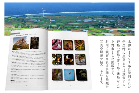 図鑑 伊江島の野鳥 1冊