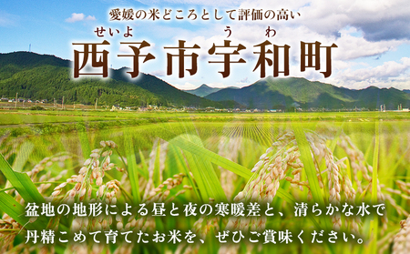 ＜にじのきらめき 約5kg＞ 5キロ ニジノキラメキ 米 お米 コメ こめ 白米 精米 ご飯 ライス 大粒 穀物 西予応援米 特産品 愛媛県産 西予市産 宇和町産 前田農園 愛媛県 西予市 【常温】『2025年10月から12月迄に順次出荷予定』UMU0001