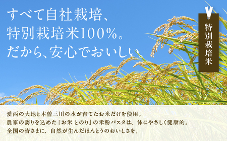 米粉 パスタ 玄米 140g×5袋 グルテンフリー TONORI[AECT030-8]