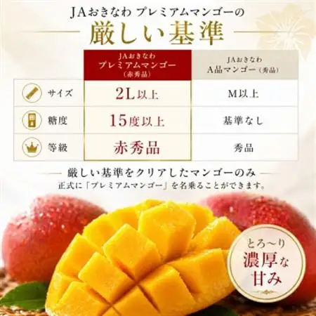 【2027年7月から順次発送】糖度15度以上!JAおきなわが厳正したプレミアムマンゴー4玉【配送不可地域：離島】【1642600】